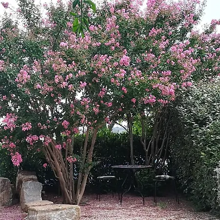 La Gattaiola Country house
